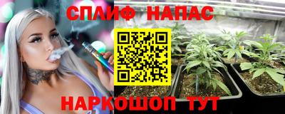 гашик Бердск