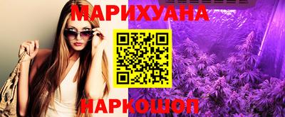 гашик Бердск