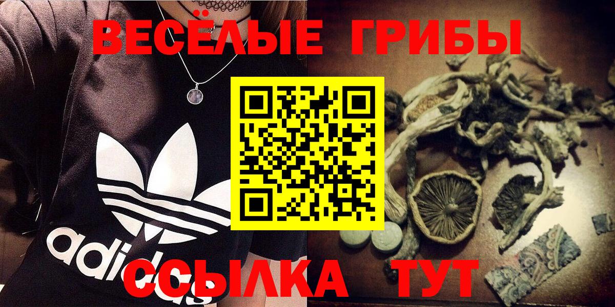 Галлюциногенные грибы Magic Shrooms  Галлюциногенные грибы Cubensis  Добрянка  Вход с VPN 