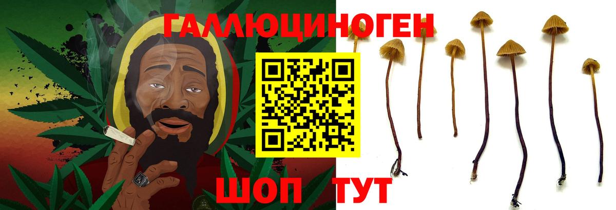 Псилоцибиновые грибы ЛСД Добрянка